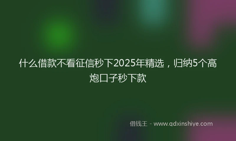 什么借款不看征信秒下2025年精选,归纳5个高炮口子秒下款