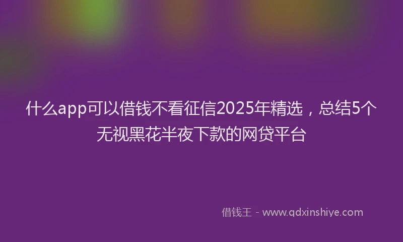 什么app可以借钱不看征信2025年精选，总结5个无视黑花半夜下款的网贷平台