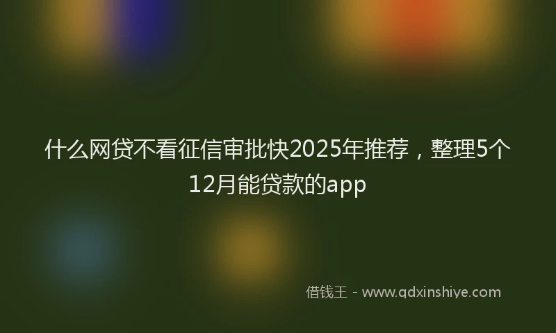 什么网贷不看征信审批快2025年推荐，整理5个12月能贷款的app