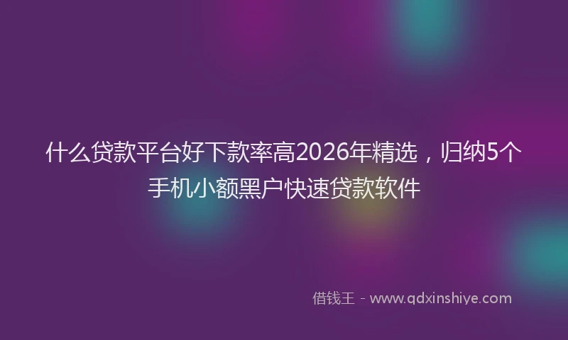 什么贷款平台好下款率高2026年精选,归纳5个手机小额黑户快速贷款软件