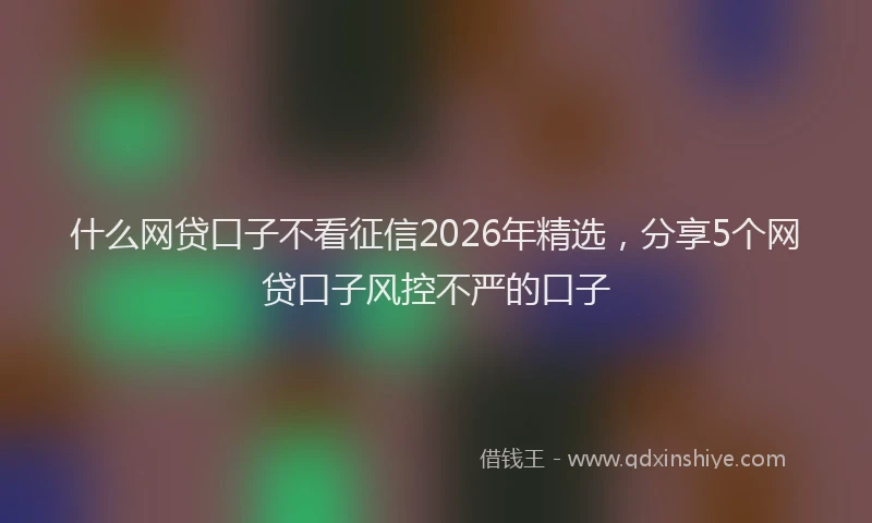 什么网贷口子不看征信2026年精选，分享5个网贷口子风控不严的口子