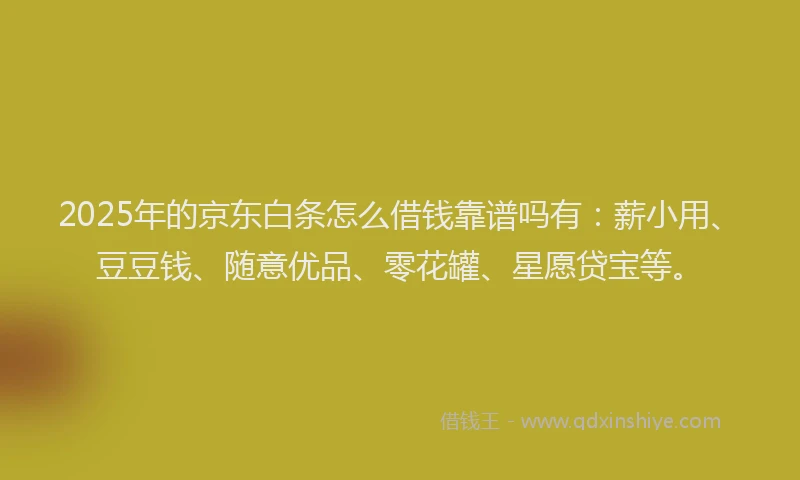 2025年的京东白条怎么借钱靠谱吗有：薪小用、豆豆钱、随意优品、零花罐、星愿贷宝等。