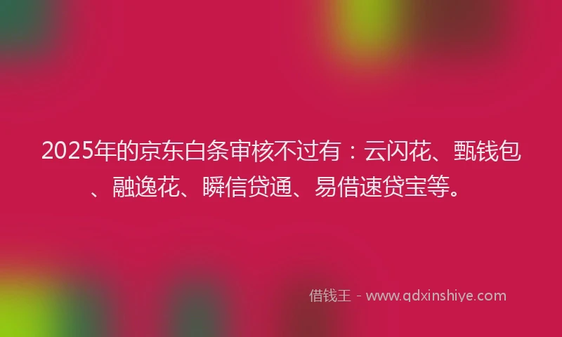 2025年的京东白条审核不过有:云闪花、甄钱包、融逸花、瞬信贷通、易借速贷宝等。