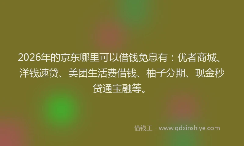 2026年的京东哪里可以借钱免息有：优者商城、洋钱速贷、美团生活费借钱、柚子分期、现金秒贷通宝融等。