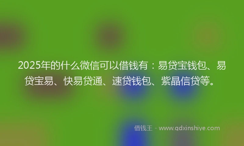 2025年的什么微信可以借钱有：易贷宝钱包、易贷宝易、快易贷通、速贷钱包、紫晶信贷等。