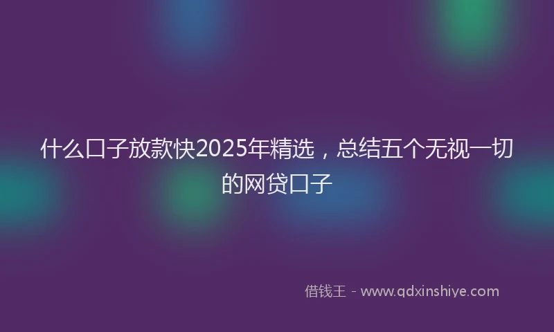 什么口子放款快2025年精选，总结五个无视一切的网贷口子