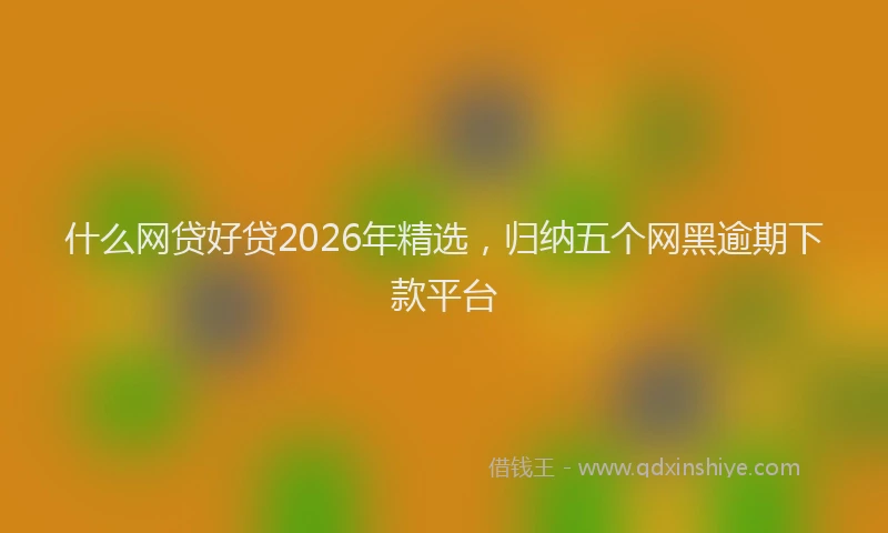 什么网贷好贷2026年精选,归纳五个网黑逾期下款平台