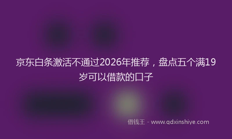 京东白条激活不通过2026年推荐，盘点五个满19岁可以借款的口子