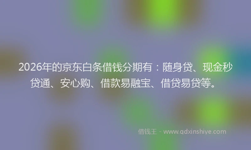 2026年的京东白条借钱分期有:随身贷、现金秒贷通、安心购、借款易融宝、借贷易贷等。