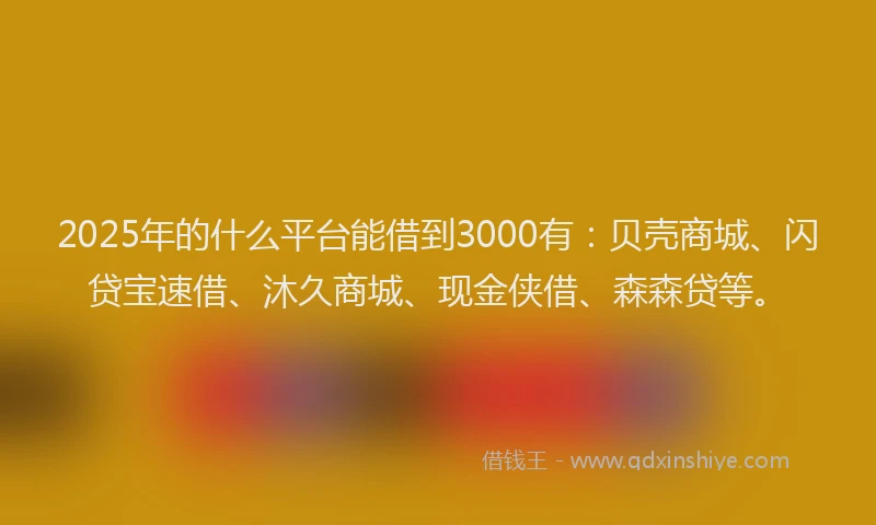 2025年的什么平台能借到3000有：贝壳商城、闪贷宝速借、沐久商城、现金侠借、森森贷等。