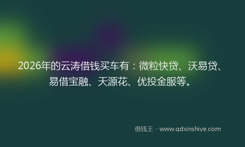 2026年的云涛借钱买车有：微粒快贷、沃易贷、易借宝融、天源花、优投金服等。