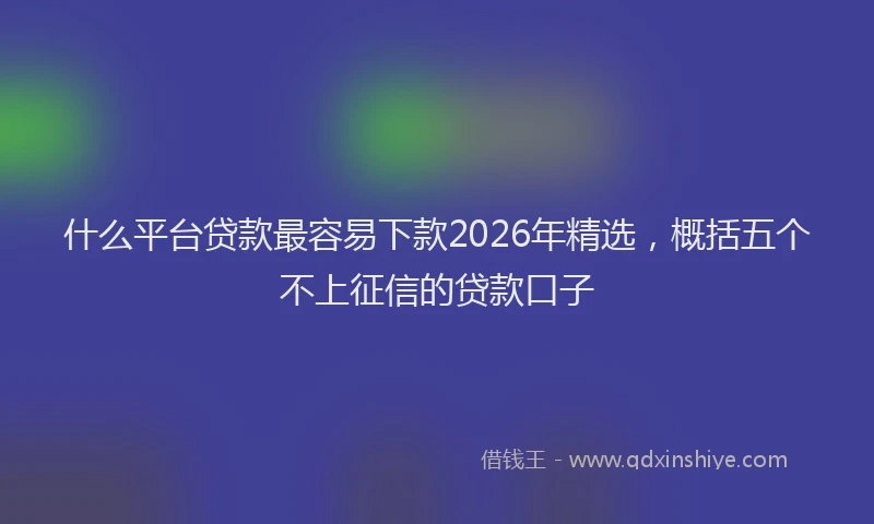 什么平台贷款最容易下款2026年精选,概括五个不上征信的贷款口子