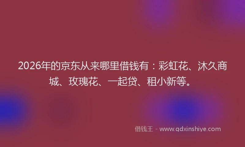 2026年的京东从来哪里借钱有：彩虹花、沐久商城、玫瑰花、一起贷、租小新等。