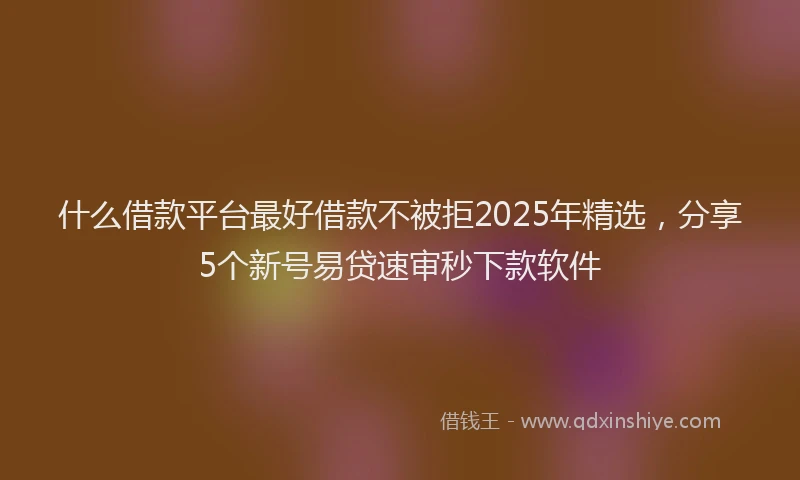 什么借款平台最好借款不被拒2025年精选，分享5个新号易贷速审秒下款软件