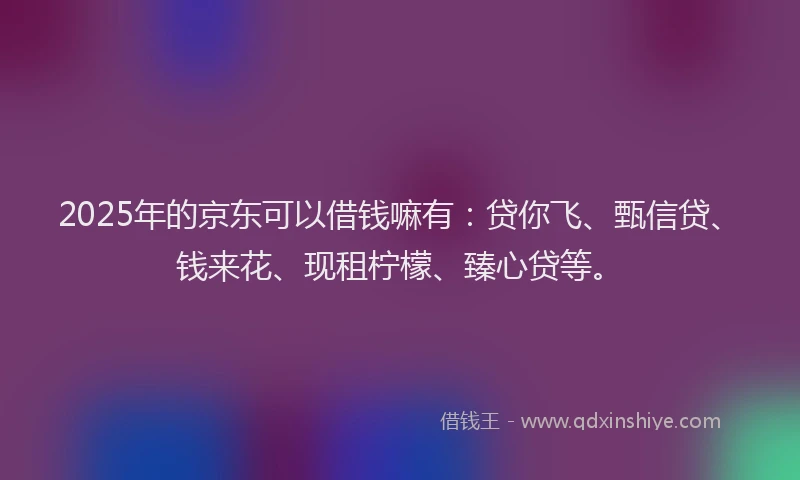2025年的京东可以借钱嘛有:贷你飞、甄信贷、钱来花、现租柠檬、臻心贷等。