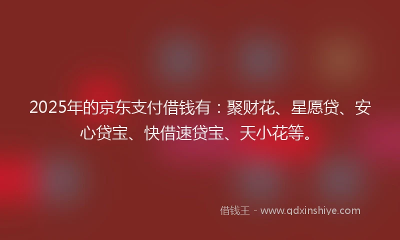 2025年的京东支付借钱有：聚财花、星愿贷、安心贷宝、快借速贷宝、天小花等。