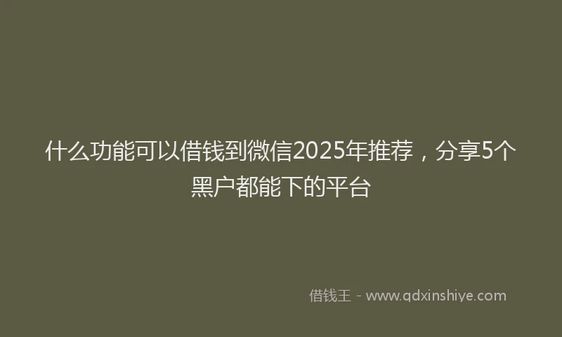 什么功能可以借钱到微信2025年推荐，分享5个黑户都能下的平台