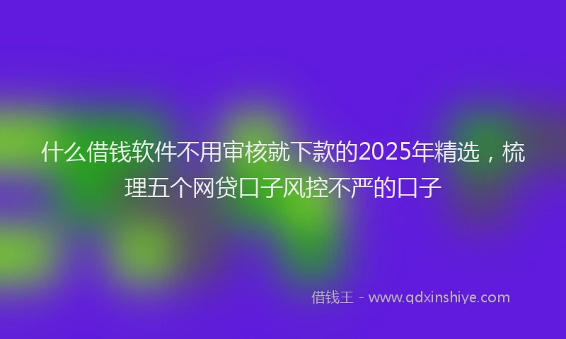 什么借钱软件不用审核就下款的2025年精选,梳理五个网贷口子风控不严的口子