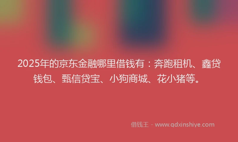 2025年的京东金融哪里借钱有：奔跑租机、鑫贷钱包、甄信贷宝、小狗商城、花小猪等。