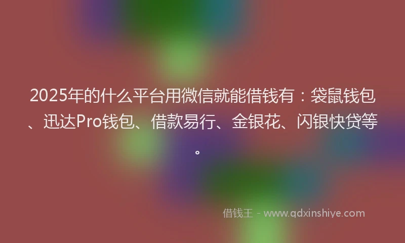 2025年的什么平台用微信就能借钱有：袋鼠钱包、迅达Pro钱包、借款易行、金银花、闪银快贷等。