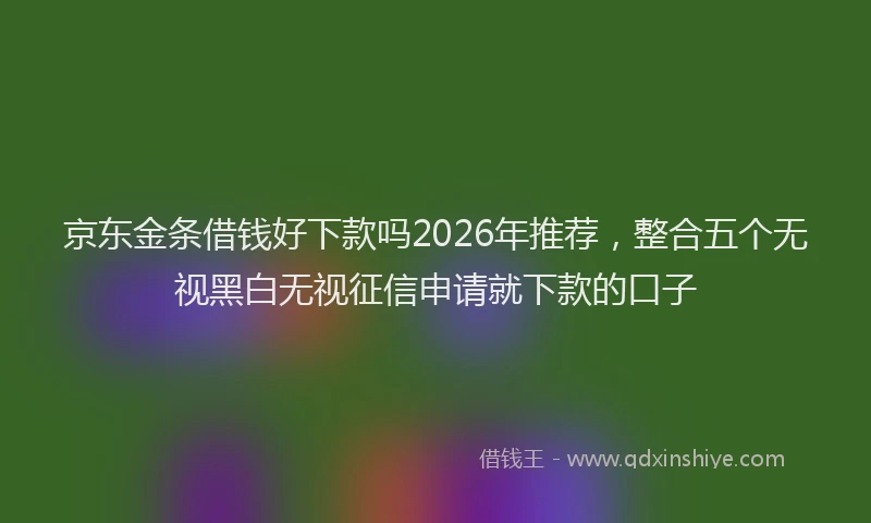 京东金条借钱好下款吗2026年推荐,整合五个无视黑白无视征信申请就下款的口子