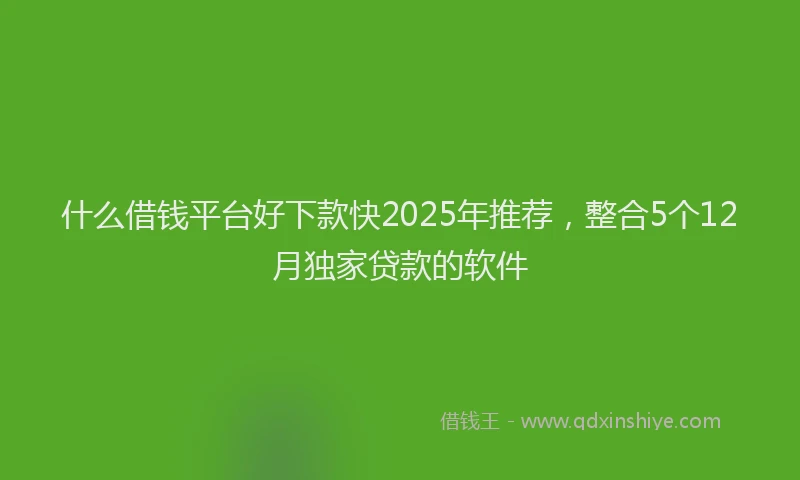 什么借钱平台好下款快2025年推荐，整合5个12月独家贷款的软件