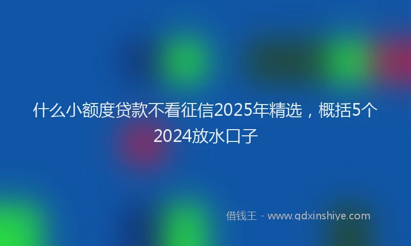 什么小额度贷款不看征信2025年精选，概括5个2024放水口子