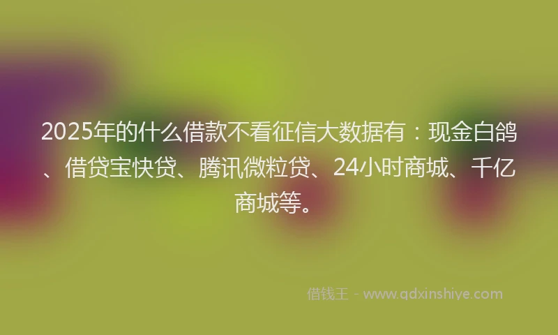 2025年的什么借款不看征信大数据有：现金白鸽、借贷宝快贷、腾讯微粒贷、24小时商城、千亿商城等。
