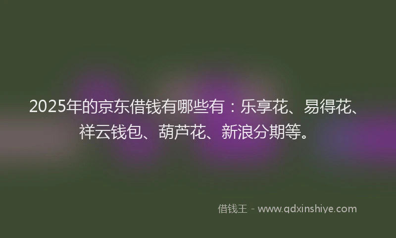 2025年的京东借钱有哪些有：乐享花、易得花、祥云钱包、葫芦花、新浪分期等。