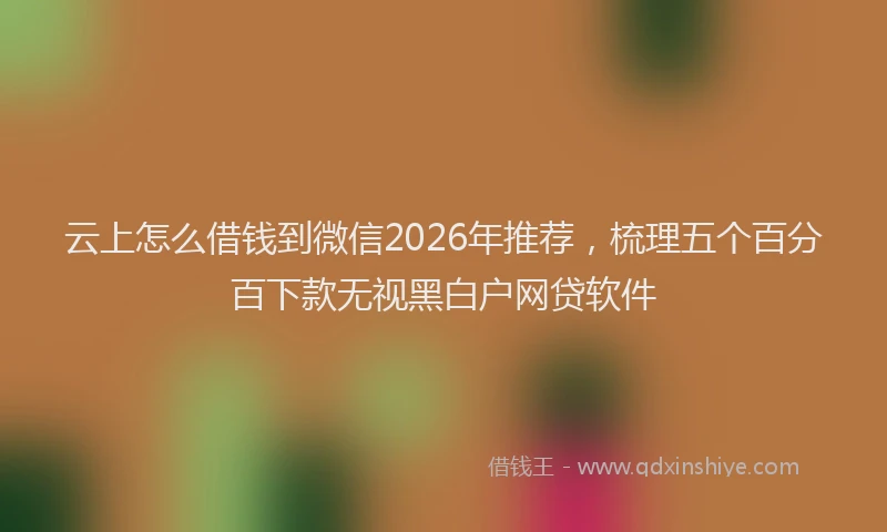 云上怎么借钱到微信2026年推荐，梳理五个百分百下款无视黑白户网贷软件