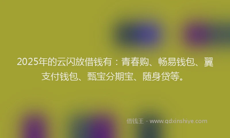 2025年的云闪放借钱有：青春购、畅易钱包、翼支付钱包、甄宝分期宝、随身贷等。