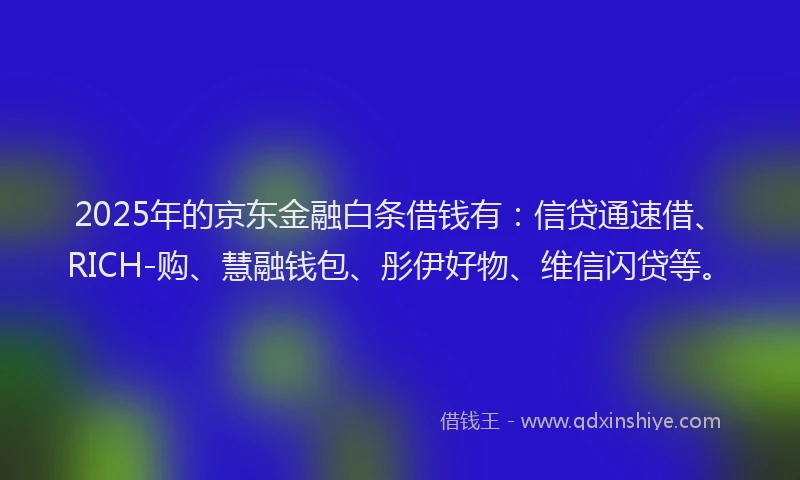 2025年的京东金融白条借钱有：信贷通速借、RICH-购、慧融钱包、彤伊好物、维信闪贷等。