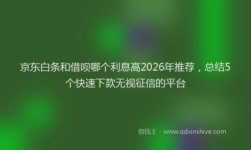 京东白条和借呗哪个利息高2026年推荐，总结5个快速下款无视征信的平台