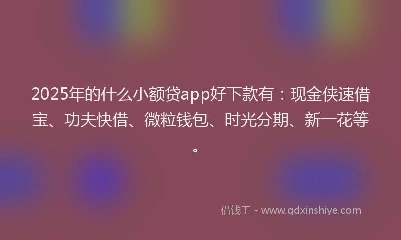 2025年的什么小额贷app好下款有：现金侠速借宝、功夫快借、微粒钱包、时光分期、新一花等。