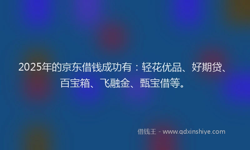 2025年的京东借钱成功有：轻花优品、好期贷、百宝箱、飞融金、甄宝借等。