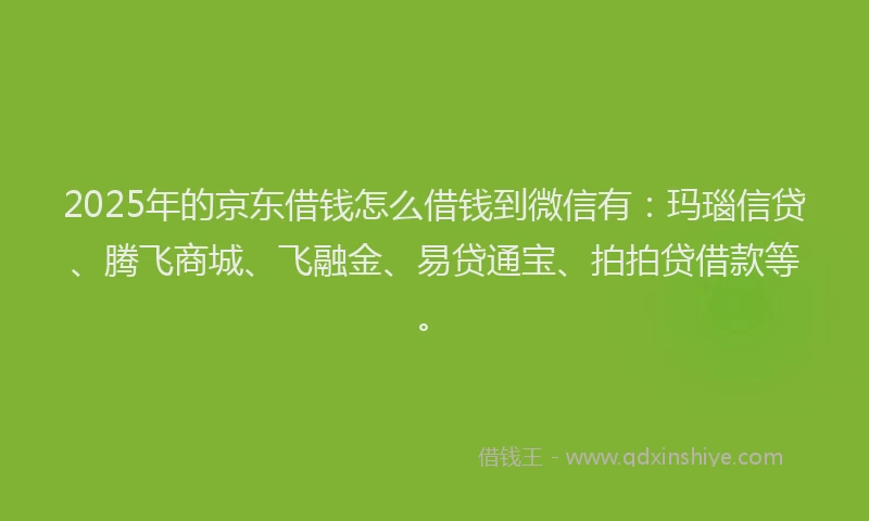 2025年的京东借钱怎么借钱到微信有：玛瑙信贷、腾飞商城、飞融金、易贷通宝、拍拍贷借款等。