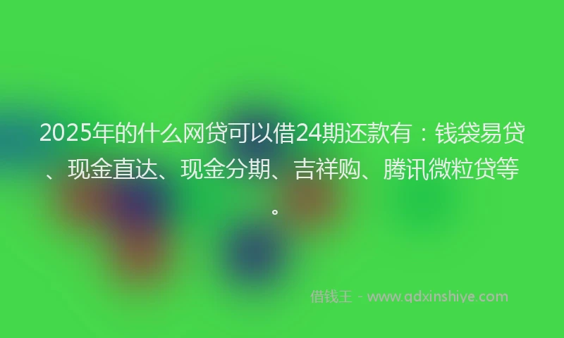 2025年的什么网贷可以借24期还款有：钱袋易贷、现金直达、现金分期、吉祥购、腾讯微粒贷等。
