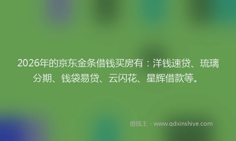 2026年的京东金条借钱买房有：洋钱速贷、琉璃分期、钱袋易贷、云闪花、星辉借款等。