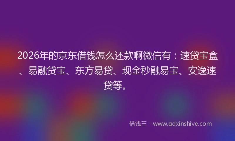 2026年的京东借钱怎么还款啊微信有：速贷宝盒、易融贷宝、东方易贷、现金秒融易宝、安逸速贷等。