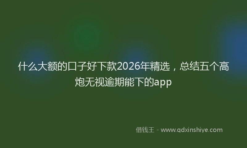 什么大额的口子好下款2026年精选，总结五个高炮无视逾期能下的app