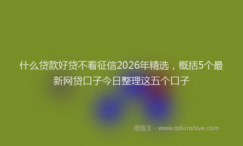 什么贷款好贷不看征信2026年精选，概括5个最新网贷口子今日整理这五个口子