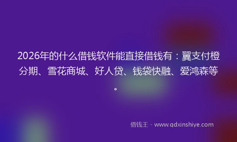 2026年的什么借钱软件能直接借钱有：翼支付橙分期、雪花商城、好人贷、钱袋快融、爱鸿森等。