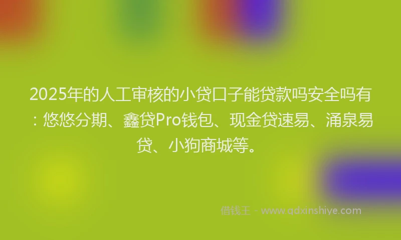 2025年的人工审核的小贷口子能贷款吗安全吗有：悠悠分期、鑫贷Pro钱包、现金贷速易、涌泉易贷、小狗商城等。