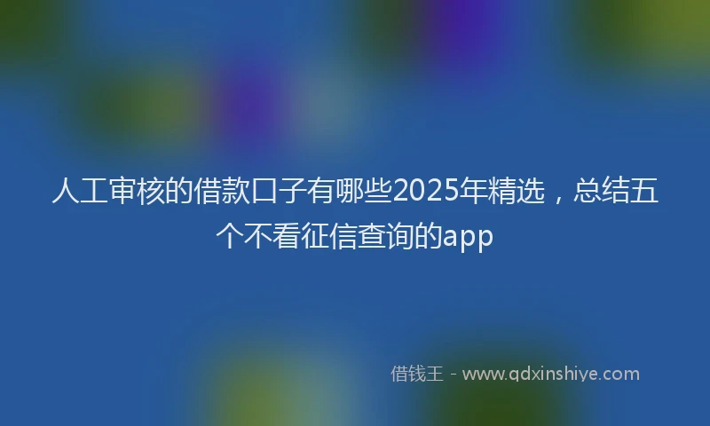 人工审核的借款口子有哪些2025年精选，总结五个不看征信查询的app