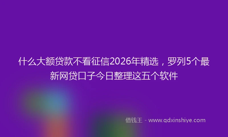 什么大额贷款不看征信2026年精选，罗列5个最新网贷口子今日整理这五个软件