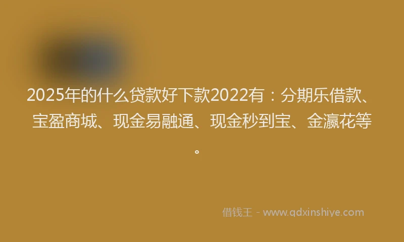 2025年的什么贷款好下款2022有：分期乐借款、宝盈商城、现金易融通、现金秒到宝、金瀛花等。