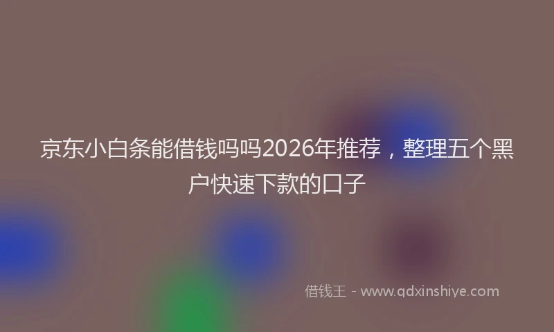 京东小白条能借钱吗吗2026年推荐，整理五个黑户快速下款的口子