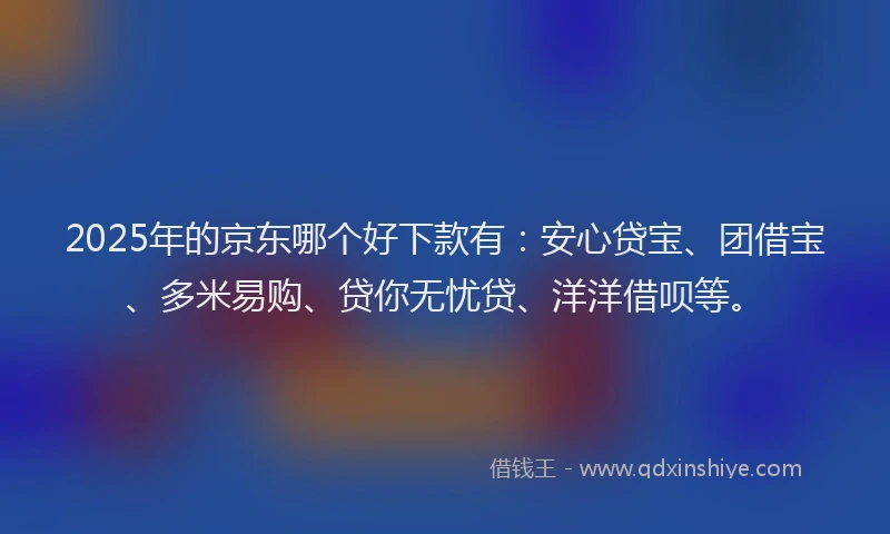 2025年的京东哪个好下款有：安心贷宝、团借宝、多米易购、贷你无忧贷、洋洋借呗等。