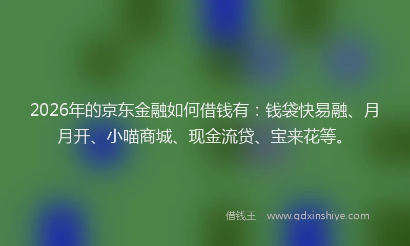 2026年的京东金融如何借钱有：钱袋快易融、月月开、小喵商城、现金流贷、宝来花等。