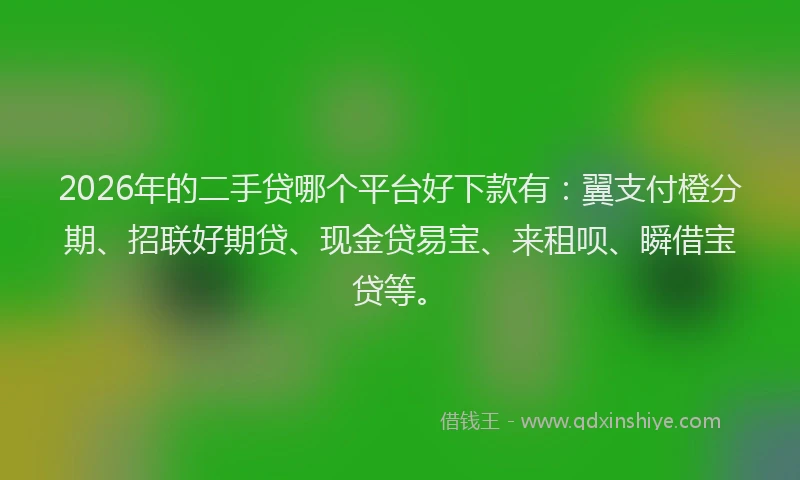 2026年的二手贷哪个平台好下款有:翼支付橙分期、招联好期贷、现金贷易宝、来租呗、瞬借宝贷等。